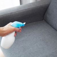 Couch Sanitisation And Deodorising